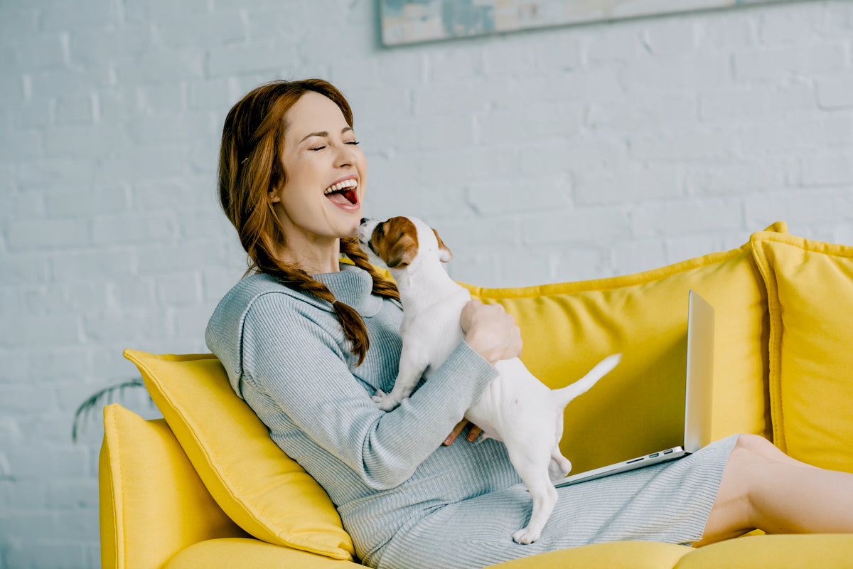 Pet Cleaning Products That Don't Harm Sensitive Immune Systems
