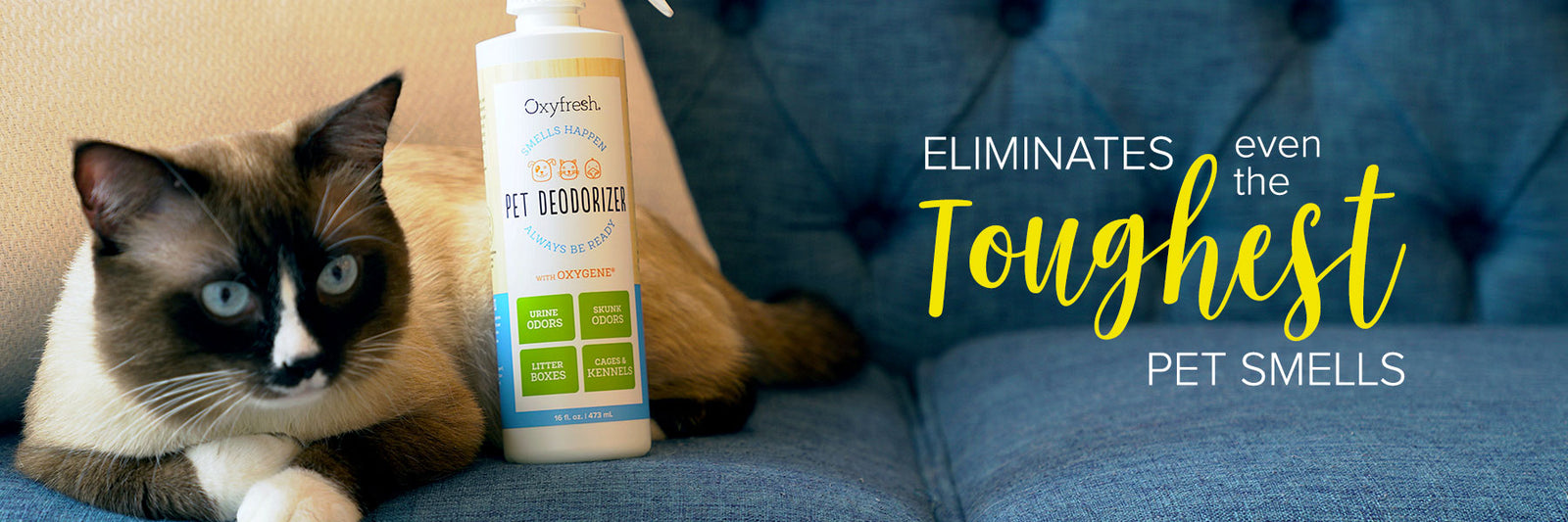 Pet Odors