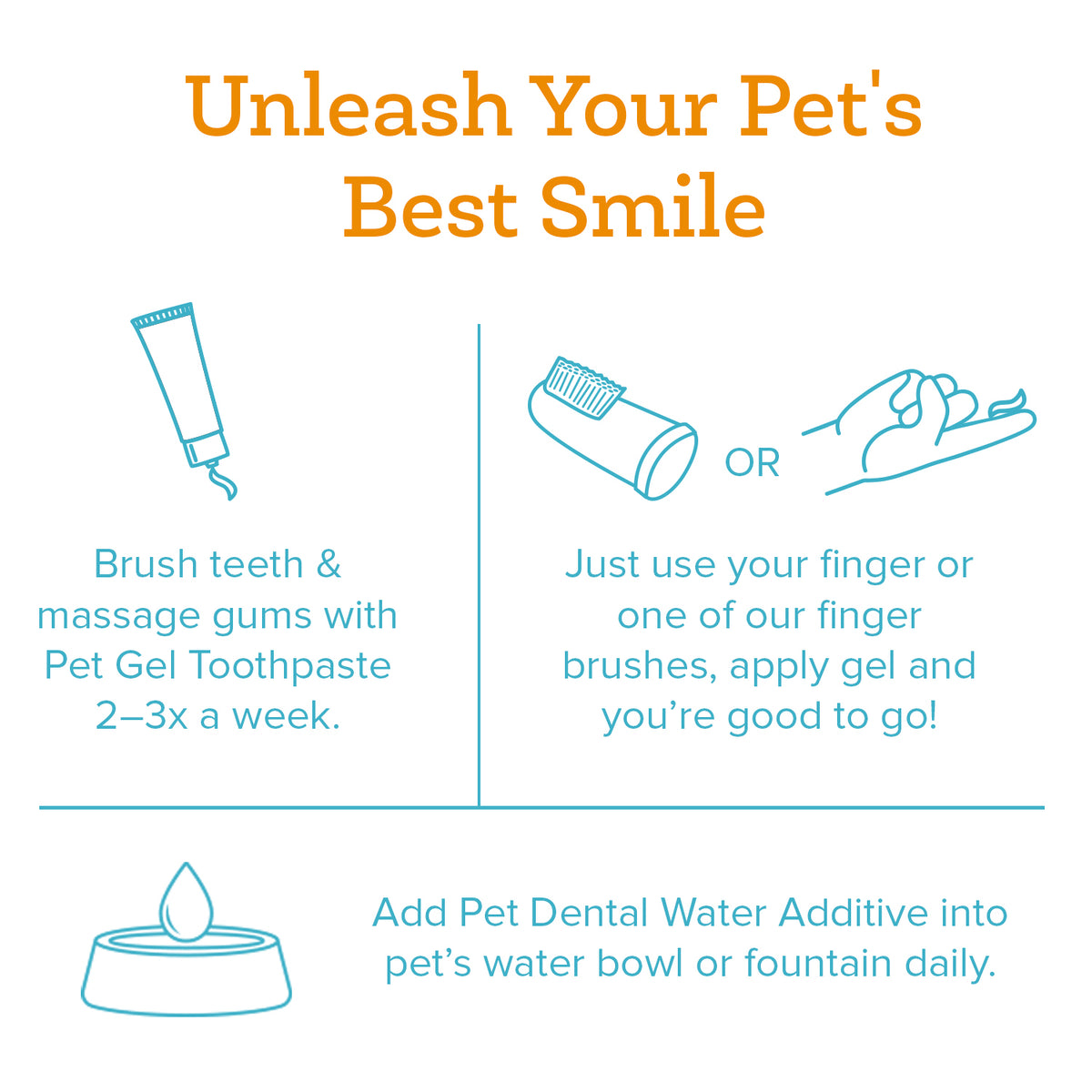 Pet Dental Kit