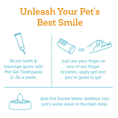Pet Dental Kit